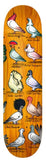 Anti Hero Pro Pfanner Show Pigeons Deck 8”