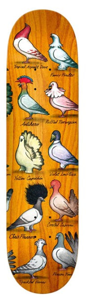 Anti Hero Pro Pfanner Show Pigeons Deck 8”